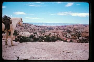 Fork of Stevens Creek; 50 mile Mountain from Waterpocket Fold