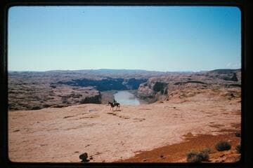 Down Lake Powell from rim; Irontop Mesa; Mile 109.5
