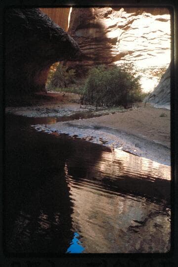 Down from drop just above fault