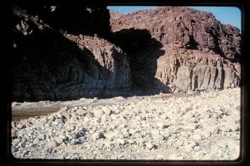 Garth running 217 Mile Rapid