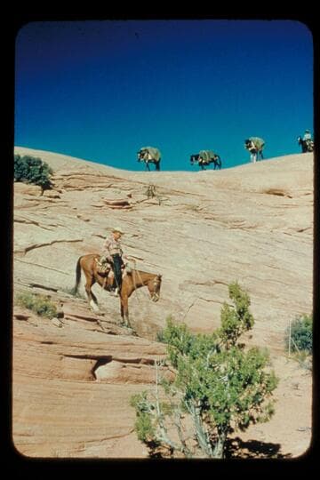 West Navajo Reservation