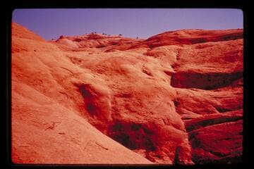 Head of drainage into Lehi Creek near Little Gray Mesa; ledge, walked by Turner, Masland and Daly, stock coming off the rim
