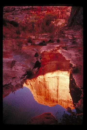 Reflections in Anasazi Canyon
