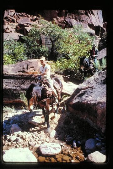 Ballard down trail in Black Water Creek