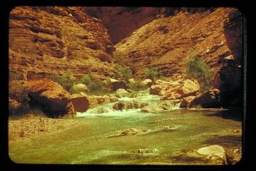 Havasupai C