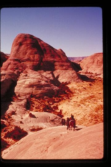 Trail between Moepitz Airfield and 5014