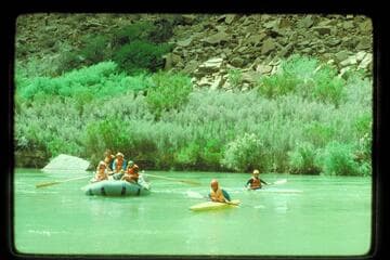Kayaks, Dubie