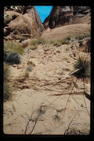 Fault south side of south fork of 73