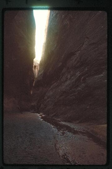 Canyon slot above junction with south fork