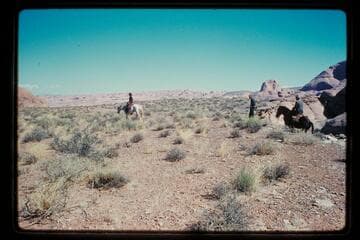 Tobe Owl rides across Moepitz Airfield