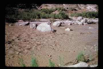 Lagoon; mouth of Little Colorado in flood