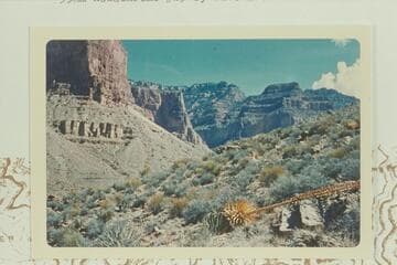 Up the east arm of Tuna Creek