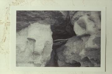 Sticks across small cave in west wall of Salt Water Wash 100 yards below where the bed of the wash becomes steep