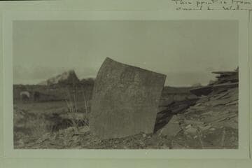 Town Plat Rock. Slabs of rock with regular natural markings which are a puzzle as to the source