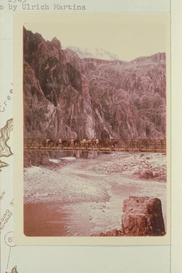 Mule train crossing Kaibab Trail Bridge