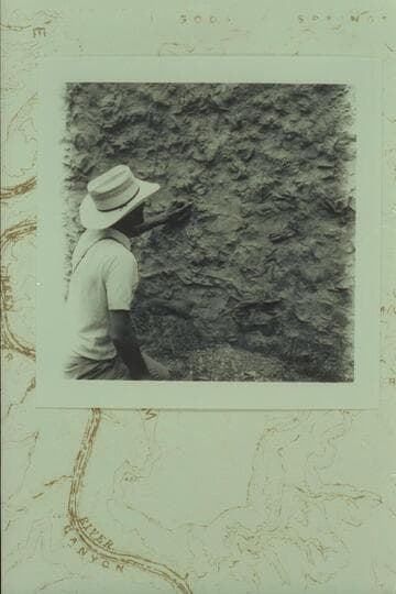 Large deposit of fossils inside mouth of Horse Canyon, right bank