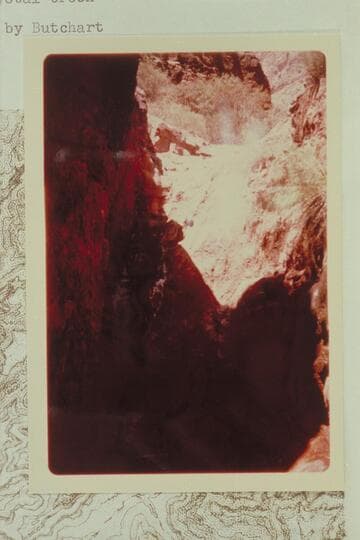 Dead-end fall in Crystal Creek