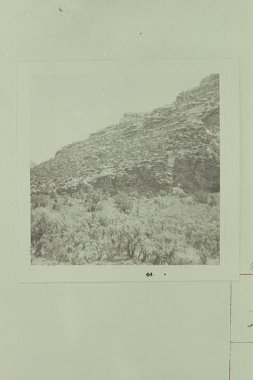 Up river left bank, Mile 46