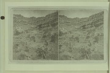 House Rock Springs, Arizona