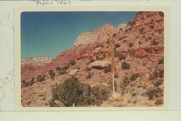 Brahma from the top of the gulley