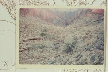 Up Pipe Spring Canyon. Cabin at right. Camp was at overhang at left