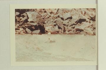 One of the Mexican Hat Expedition sadirons in Horn Creek Rapid