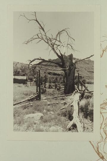 Corrals at McPherson Ranch