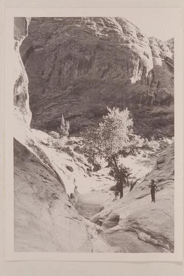 Series of pot-holes down the creek bed below Ba-Sah Bridge, Navajo Canyon