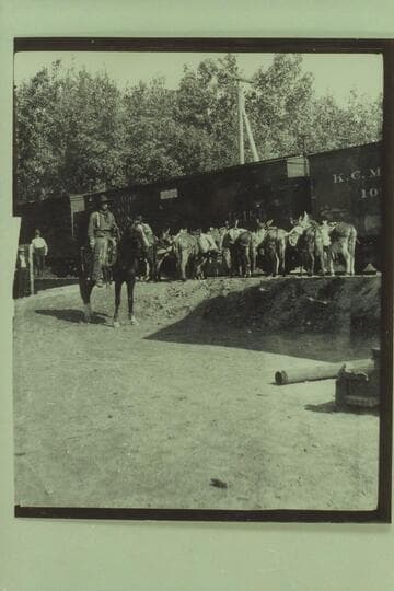 Wimmer's sheep outfit held up by train near Thompson