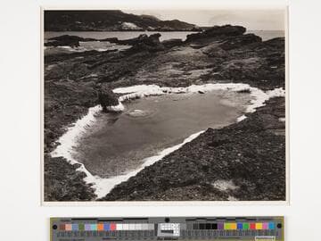 Salt Pool, Point Lobos