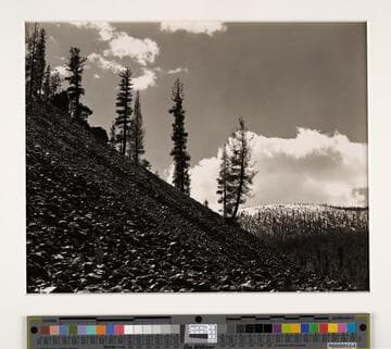 Glass Mountain, Siskiyou Co.