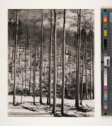 Aspen Valley, New Mexico