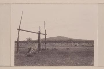 Mt. Dellenbaugh on the Shivwits Plateau