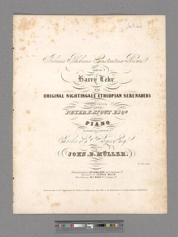 Juliana Phebiana Constantina Brown : sung by Harry Lehr of the Original Nightingale Ethiopian Serenaders / Music and words composed by Peter F. Stout Esqr.  arranged for the piano and respectfully dedicated to Charles E. Hayes, Esqr. of Lancaster by John B. Müller