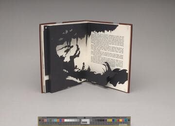 Freedom, A Fable: A Curious Interpretation of the Wit of a Negress in Troubled Times