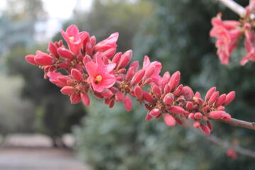 Go to image 3.