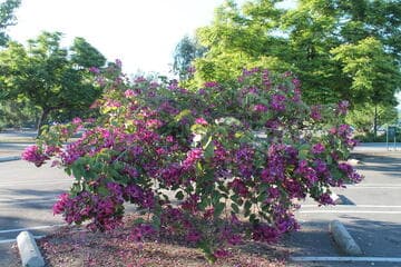 Go to image 4.