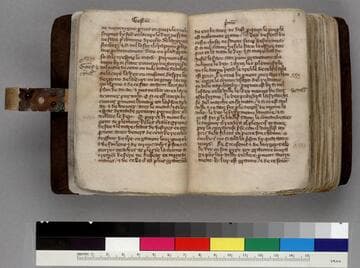 Statutes : [manuscript]