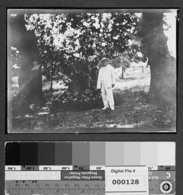 View of Harrison Gray Otis at The Outpost