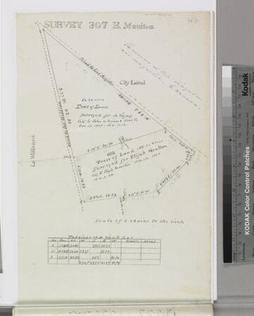 Survey 307 E. Moulten