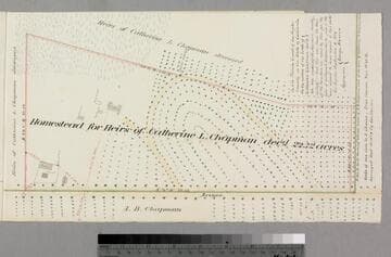Homestead for heirs of Catherine L. Chapman