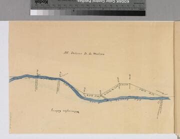 Rancho San Pedro : S73 (partition of 1884-1885, report of referees) - eastern boundary of Maria Dolores D. de Watson parcels