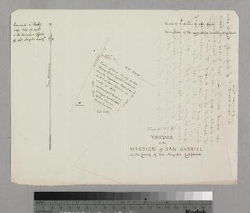 Vineyard of the Mission San Gabriel