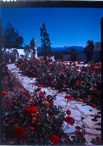 Peck, Curtis, residence