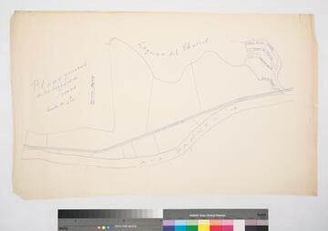 Mexico : Plano general de los terrenos de Tamos