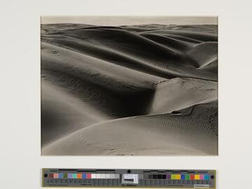 Dunes, Oceano