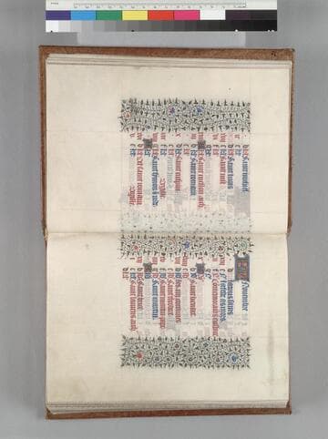 Book of Hours, use of Paris : [manuscript]