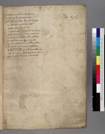 Bible : [manuscript]