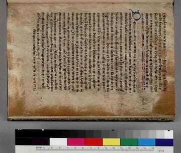 Explanationes notabiles super lectiones beati Iob : [manuscript]
