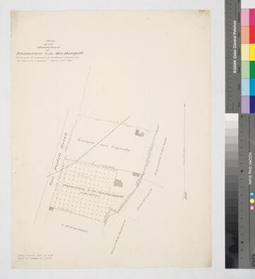 Map of the Homestead of Francisca A. de MacDougall